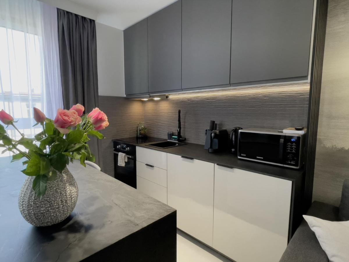 Urban Apartments Premium, Opolska 10 No 89, Free Garage, Self Check-In Κατοβίτσε Εξωτερικό φωτογραφία