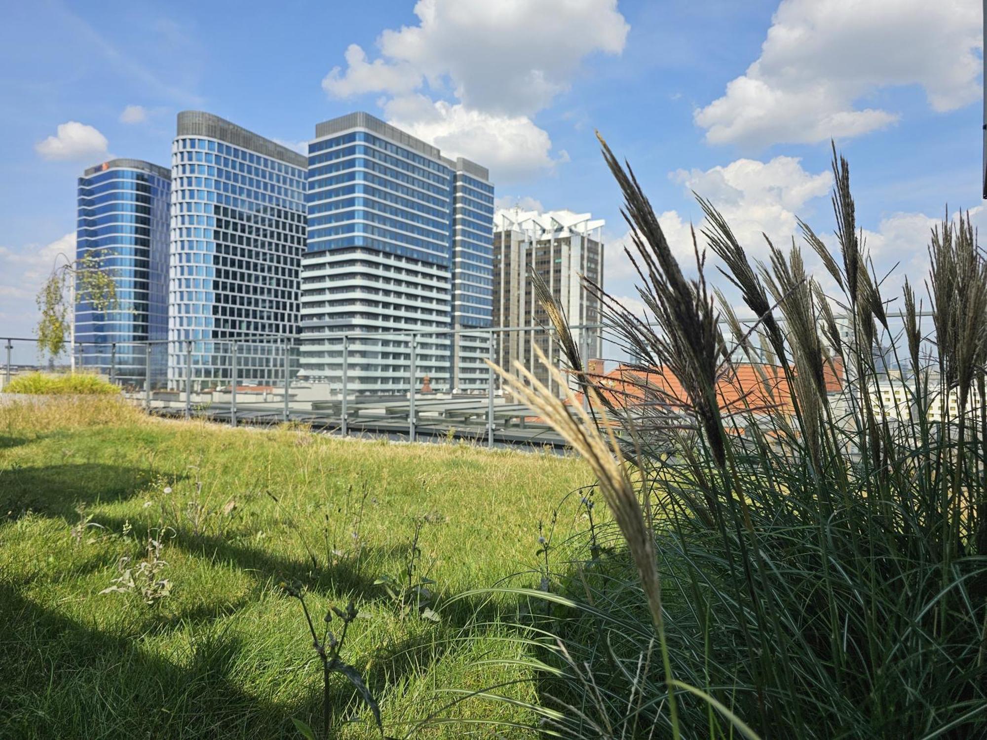 Urban Apartments Premium, Opolska 10 No 89, Free Garage, Self Check-In Κατοβίτσε Εξωτερικό φωτογραφία